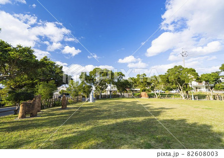 沖縄街並み 沖縄街並み 82608003