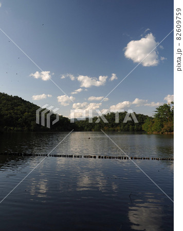 京都 宝が池 京都 宝が池 82609759