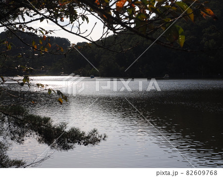 京都 宝が池 京都 宝が池 82609768