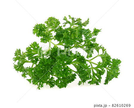 parsley isolated on white background 82610269