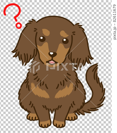 臘腸犬 (chocotan) 想知道 臘腸犬 (chocotan) 想知道 82611679