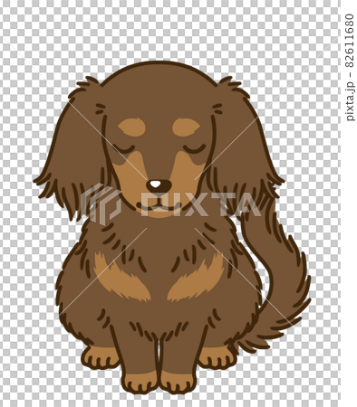 おじぎするダックスフンド（チョコタン） 82611680