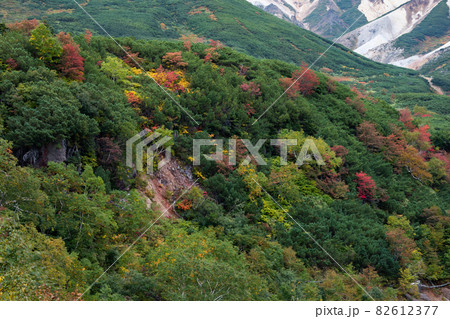【北海道上富良野町】秋の十勝岳凌雲閣からの紅葉　9月 82612377