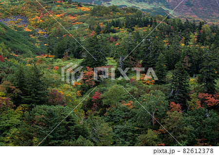 【北海道上富良野町】十勝岳の紅葉 9月 【北海道上富良野町】十勝岳の紅葉 9月 82612378