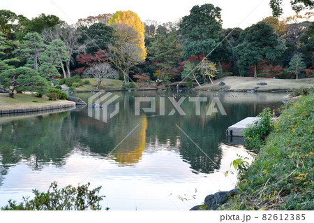 六義園　池泉回遊式庭園の秋の夕暮れ 82612385