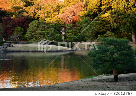 六義園 池泉回遊式庭園の秋の夕暮れ 六義園 池泉回遊式庭園の秋の夕暮れ 82612767