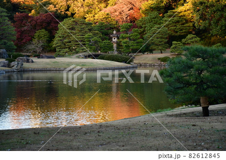 六義園 池泉回遊式庭園の秋の夕暮れ 六義園 池泉回遊式庭園の秋の夕暮れ 82612845