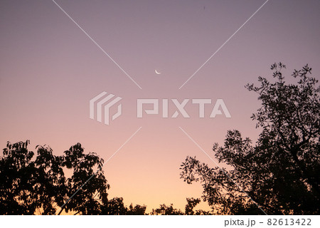 紫のグラデーションの空に浮かぶ逆三日月 82613422