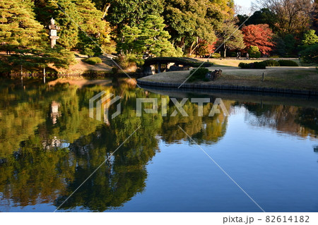六義園 池泉回遊式庭園の秋の夕暮れ 六義園 池泉回遊式庭園の秋の夕暮れ 82614182