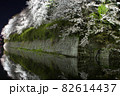 夜桜 夜桜 82614437