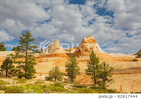 Utah landscapes Utah landscapes 82617444