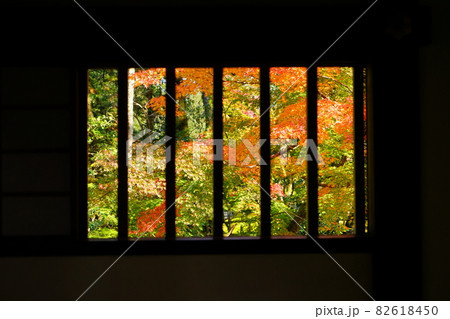家屋の格子窓から眺める紅葉 家屋の格子窓から眺める紅葉 82618450