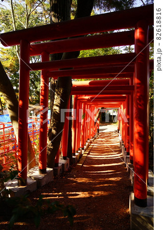 金沢の石浦神社の赤い鳥居 金沢の石浦神社の赤い鳥居 82618816