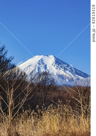 冬の富士山 山梨県南都留郡忍野村にて 冬の富士山 山梨県南都留郡忍野村にて 82619319