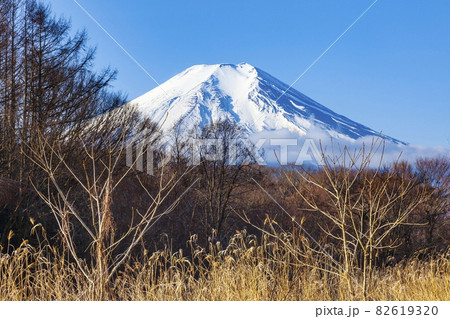 冬の富士山 山梨県南都留郡忍野村にて 冬の富士山 山梨県南都留郡忍野村にて 82619320