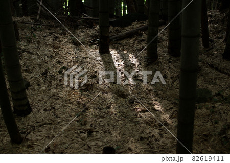 鳥取 四季の散歩 秋 倉吉廃線跡 鳥取 四季の散歩 秋 倉吉廃線跡 82619411