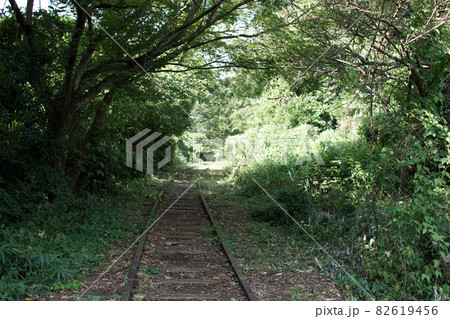 鳥取　四季の散歩　秋　倉吉廃線跡 82619456