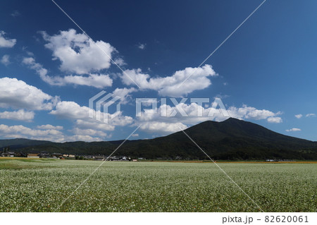 筑波山麓のそば畑 82620061