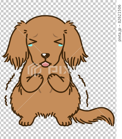 Frightened dachshund (red) 82621506