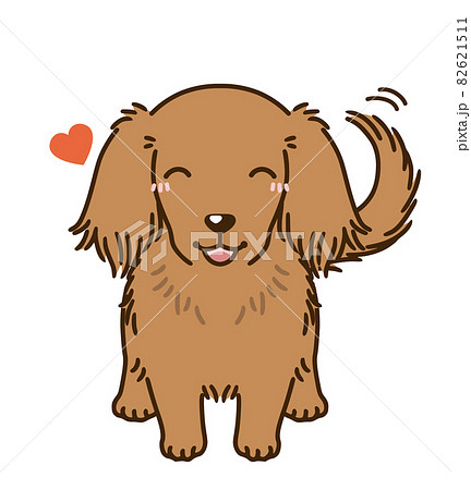 懐くダックスフンド(レッド) 懐くダックスフンド(レッド) 82621511