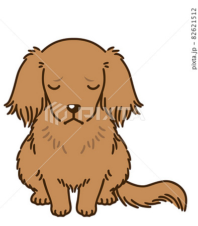 落ち込むダックスフンド（レッド） 82621512