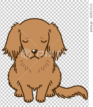 落ち込むダックスフンド（レッド） 82621512