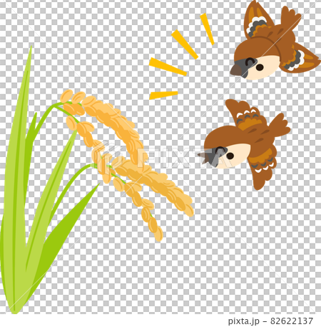 麻雀飛到稻穗上 麻雀飛到稻穗上 82622137