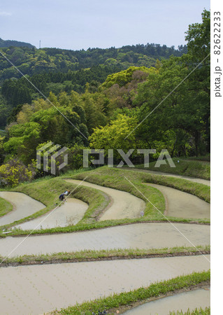 魅力あふれる棚田の絶景 82622233