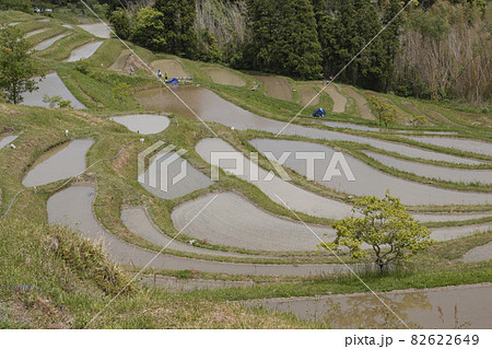 魅力あふれる棚田の絶景 魅力あふれる棚田の絶景 82622649