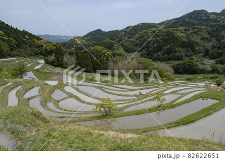 魅力あふれる棚田の絶景 魅力あふれる棚田の絶景 82622651