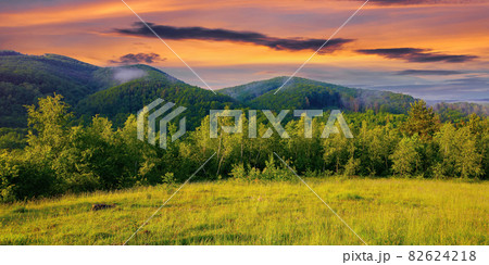 forest on the grassy meadow in the forenoon. beautiful rural landscape in summer. mist spreads from the distant mountains above the treetops beneath a wonderful sky with clouds forest on the grassy meadow in the forenoon. beautiful rural landscape in summer. mist spreads from the distant mountains above the treetops beneath a wonderful sky with clouds 82624218