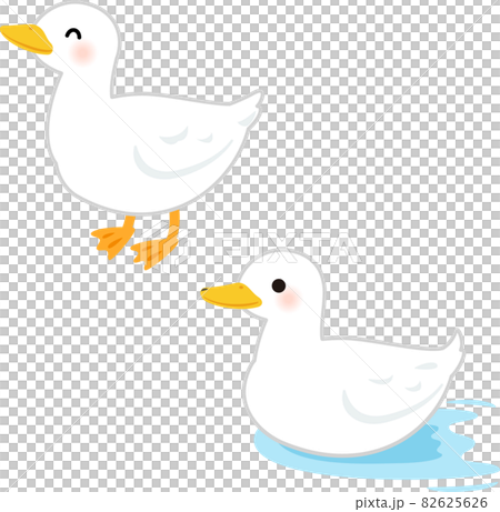 Standing ducks and ducks moving on the surface of the water 82625626