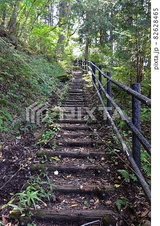 仙台市の中心部、天然記念物の青葉山にある「青葉の森緑地」です。。 仙台市の中心部、天然記念物の青葉山にある「青葉の森緑地」です。。 82628465