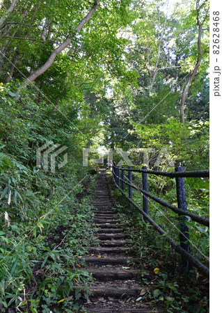 仙台市の中心部、天然記念物の青葉山にある「青葉の森緑地」です。。 仙台市の中心部、天然記念物の青葉山にある「青葉の森緑地」です。。 82628468