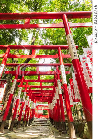 成海神社、摂社の東宮稲荷社〈愛知県名古屋市〉 82628736