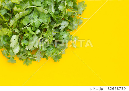 Fresh coriander leaves on yellow background. Fresh coriander leaves on yellow background. 82628739