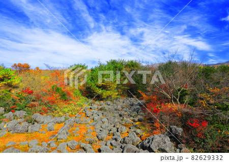 秋 紅葉 山 82629332