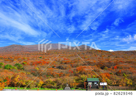 秋 紅葉 山 82629346