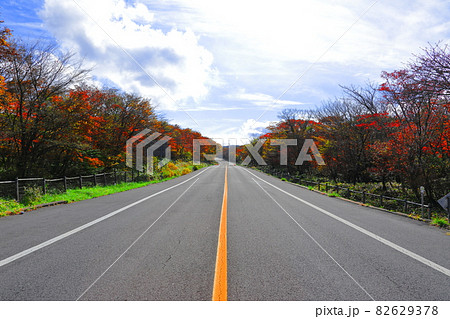 秋 紅葉 道路 82629378