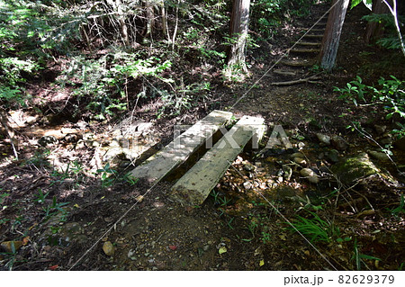 仙台市の天然記念物、青葉山にある「青葉の森緑地」です。 82629379