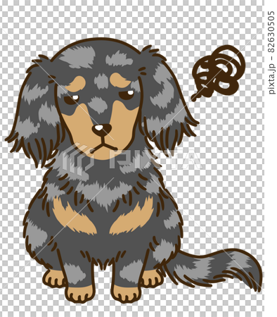 不滿意的臘腸犬（銀斑） 82630505