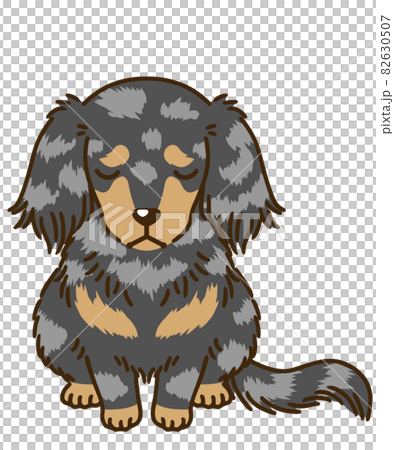 沮喪的臘腸犬(銀色斑紋) 沮喪的臘腸犬(銀色斑紋) 82630507