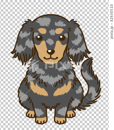 臘腸犬(銀色斑紋) 臘腸犬(銀色斑紋) 82630510