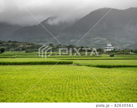 Green rice fields,white clouds, mountains in Hualien, Taiwan. 82630561