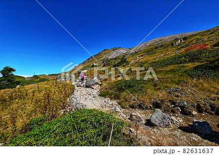 日光白根山登山道の紅葉  (Hiking way of Mt. Shirane) 82631637