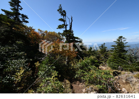 日光白根山登山道の紅葉  (Hiking way of Mt. Shirane) 82631641