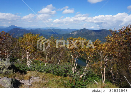 日光白根山登山道の紅葉  (Hiking way of Mt. Shirane) 82631643