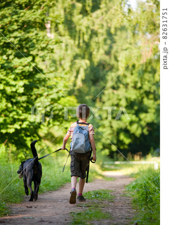 Kid with a dog 82631751