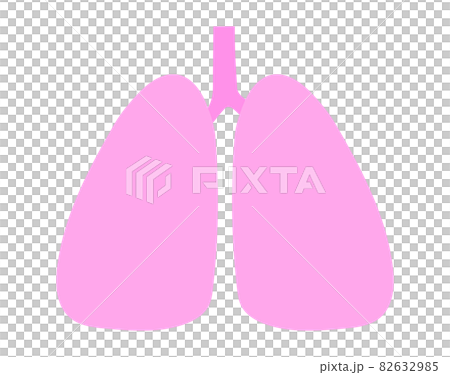 A simple illustration of a healthy lung that can be used for anything. 82632985