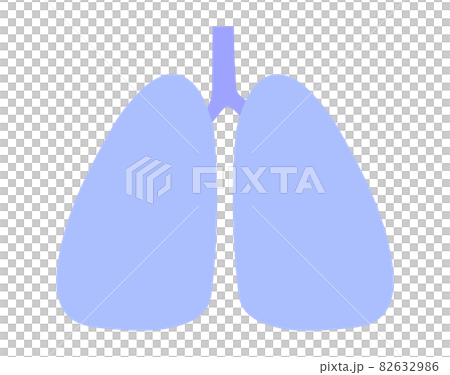 An illustration of an unhealthy lung that can be used for anything. An illustration of an unhealthy lung that can be used for anything. 82632986
